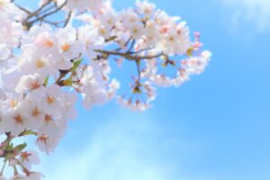 PTAをたすけるPTA'S（ピータス）‗PTA新年度応援プログラム